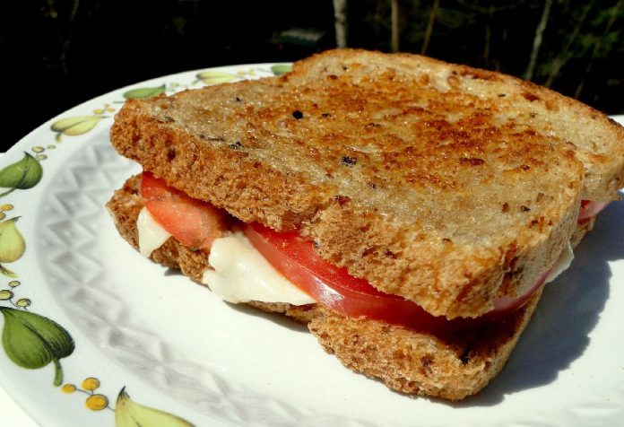 Sandwich Panini Sayuran Panggang