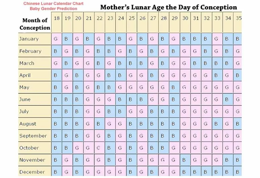 Китайский календарь пол ребенка 2024 рассчитать беременности
