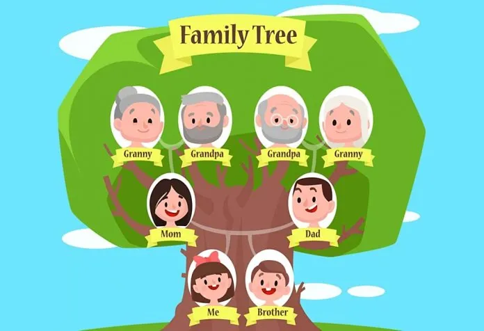 Cara Membuat Pohon Keluarga - 5 Ide Kerajinan Mudah