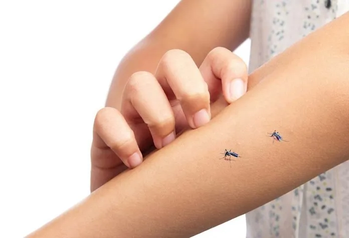 10 Obat Efektif Membasmi Nyamuk di Rumah