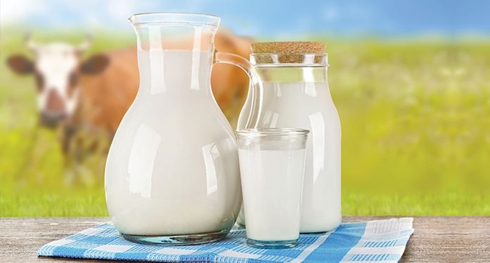 apakah susu dengan hormon pertumbuhan sapi aman untuk diminum balita saya?
