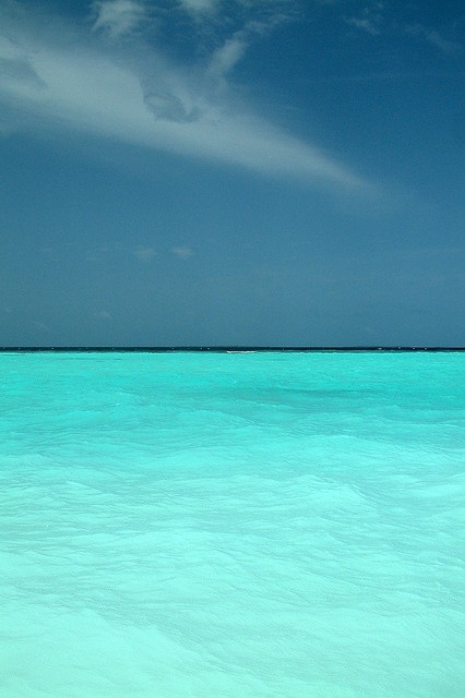 Pulau Bora Bora – Salah Satu Pulau Paling Eksotis dan Romantis