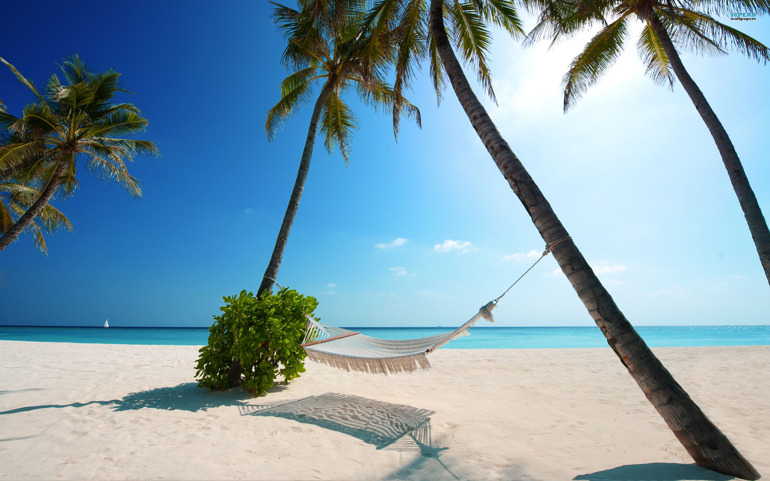 Maladewa, Karibia, dan UEA adalah Favorit Wisatawan Inggris untuk 2017