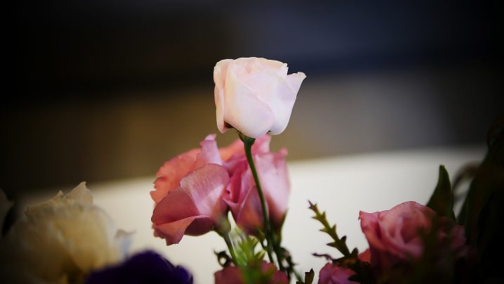 Pertanyaan Untuk Ditanyakan pada Perancang Bunga Pernikahan Anda