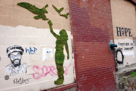Pelajari Cara Menambahkan Grafiti Lumut ke Dinding Halaman Belakang yang Kusam
