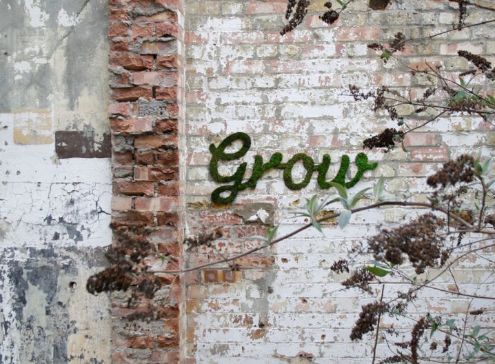 Pelajari Cara Menambahkan Grafiti Lumut ke Dinding Halaman Belakang yang Kusam