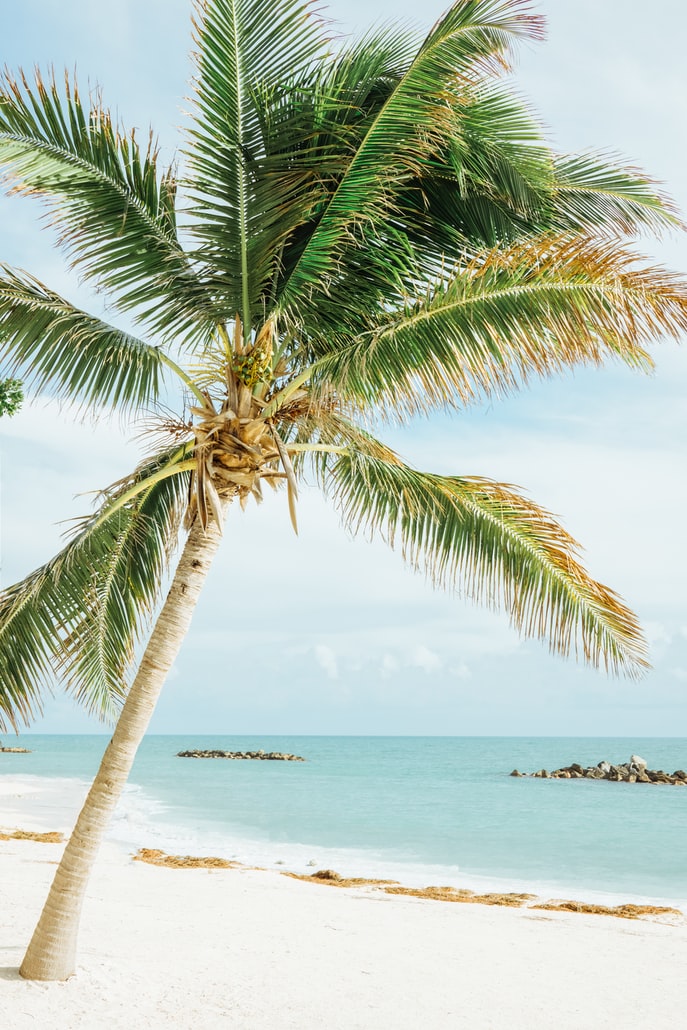 Perjalanan Daftar Ember Anda ke Key West: Tempat Pergi untuk Pengalaman Seumur Hidup