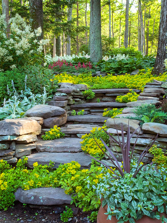 Tip Hebat Cara Membangun Dinding Batu Bertumpuk Di Taman