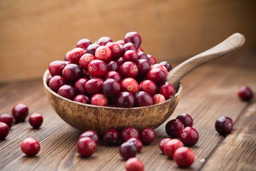 Cranberry: apa itu, untuk apa dan bagaimana menggunakannya_0