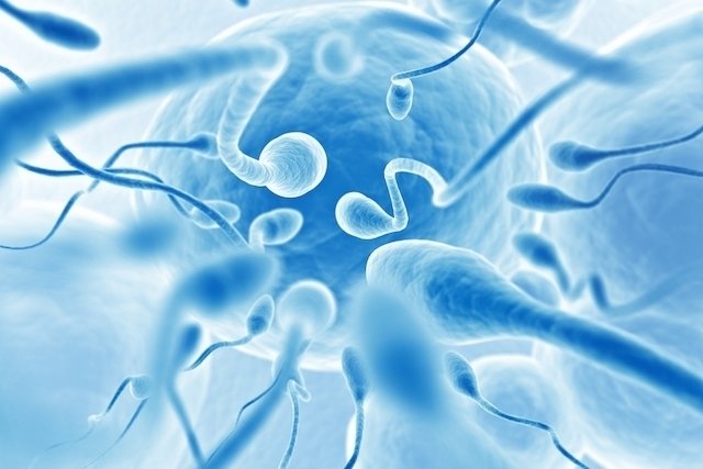 Alergi sperma (air mani): gejala dan cara mengobati_0