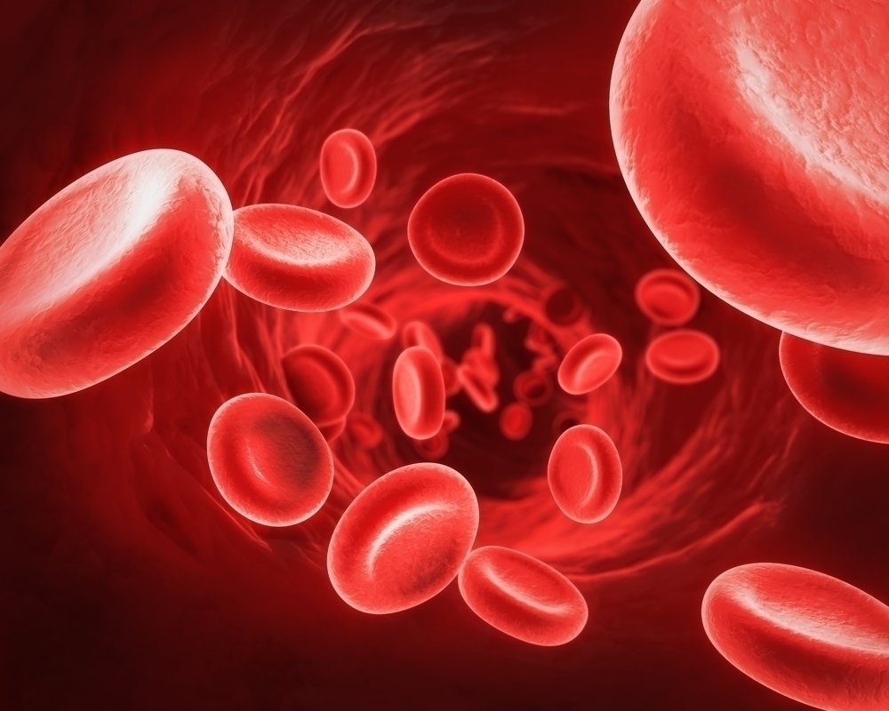 Thalassemia: apa itu, gejala, jenis dan pengobatan_0