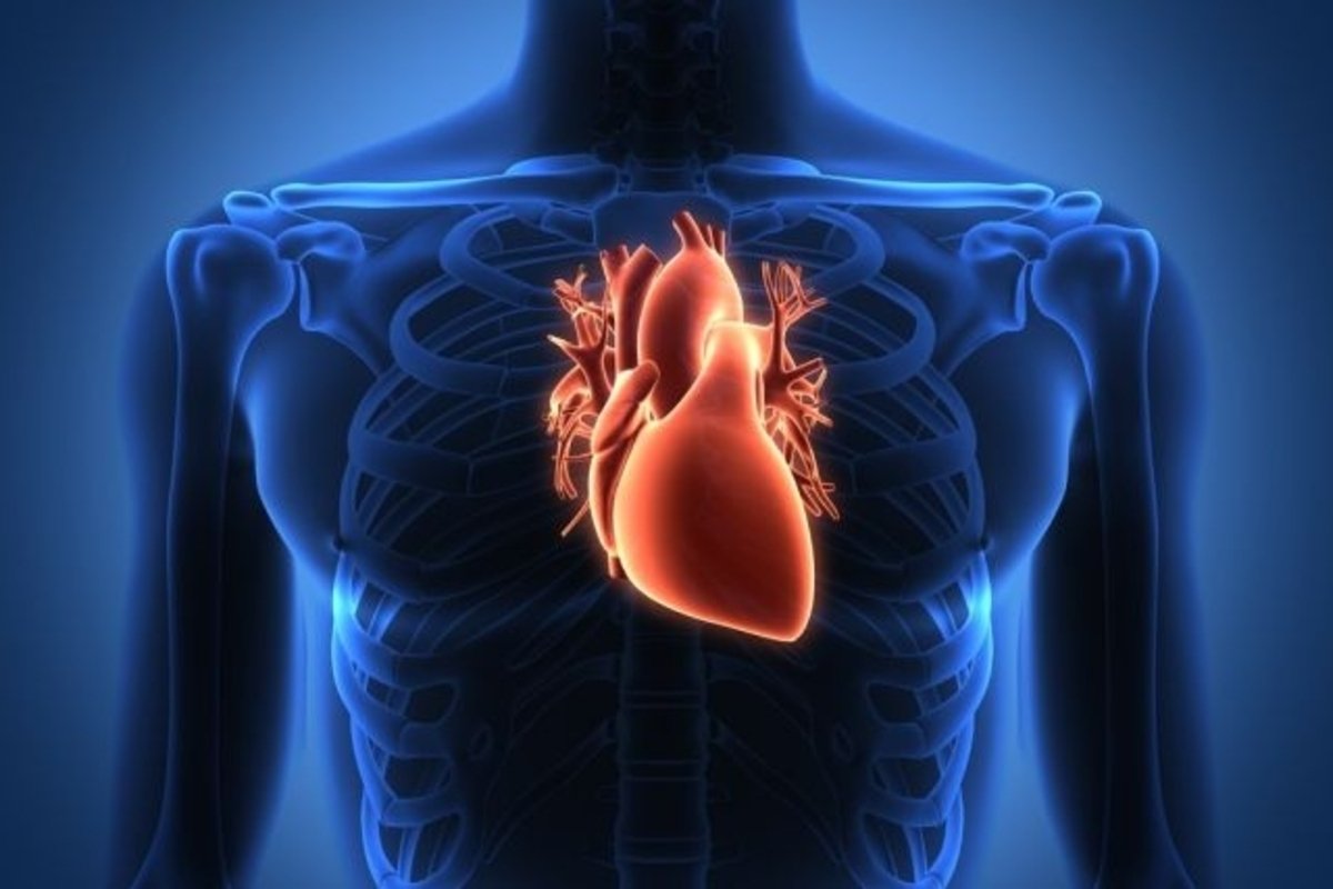 10 penyakit kardiovaskular: gejala dan pengobatan_0