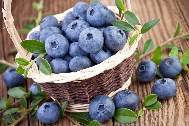Blueberry: 10 manfaat luar biasa (dan cara mengkonsumsinya)_0