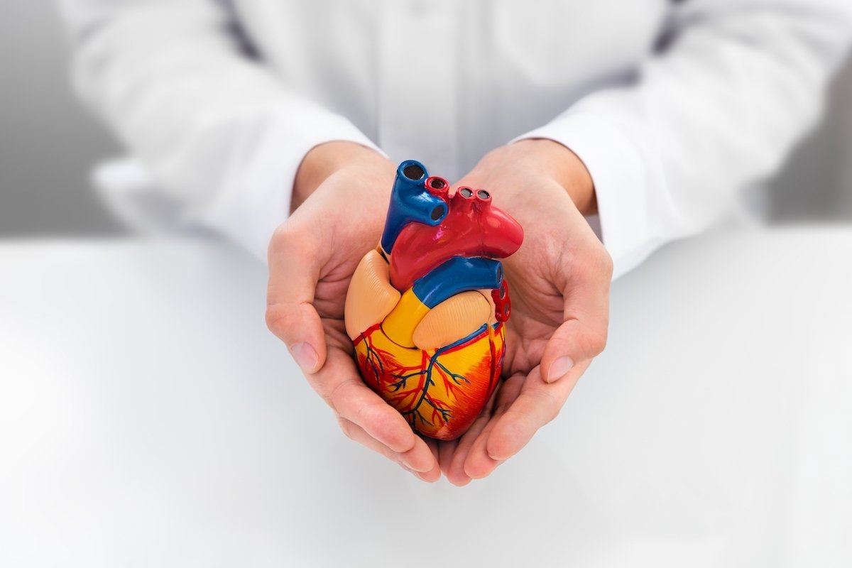 Ahli jantung: apa itu, apa fungsinya dan kapan harus berkonsultasi_0