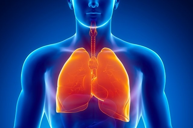 Emboli paru: apa itu, gejala, penyebab dan pengobatan_0