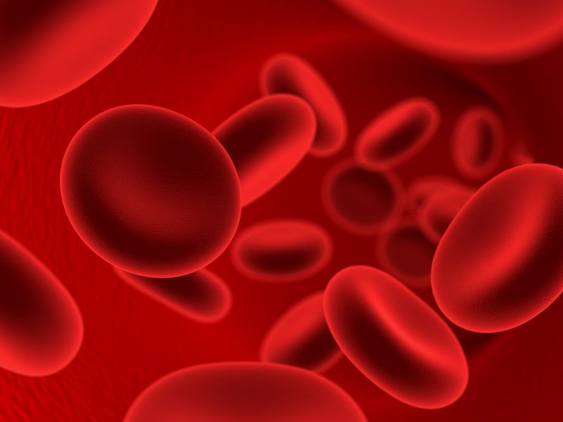 7 gejala yang mungkin menandakan kekurangan zat besi dalam darah_0