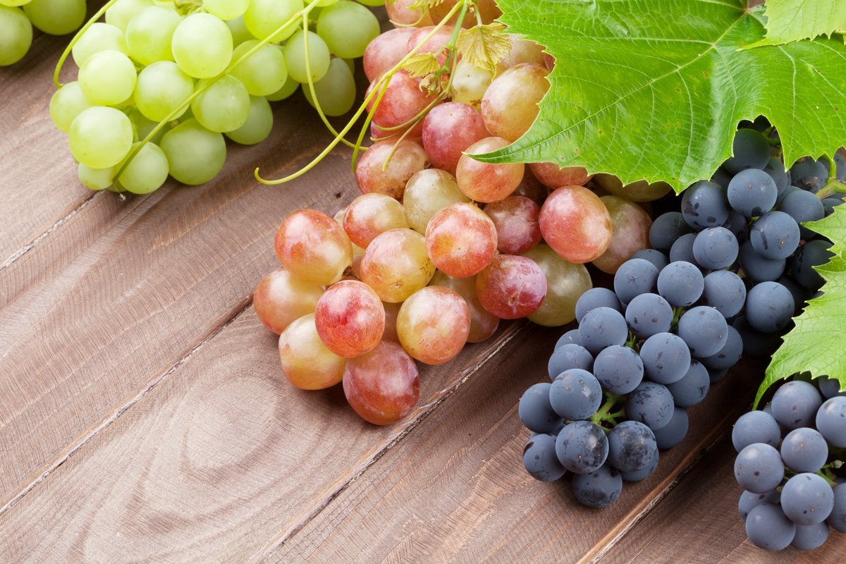 8 manfaat buah anggur dan cara mengkonsumsinya (beserta resepnya)_0
