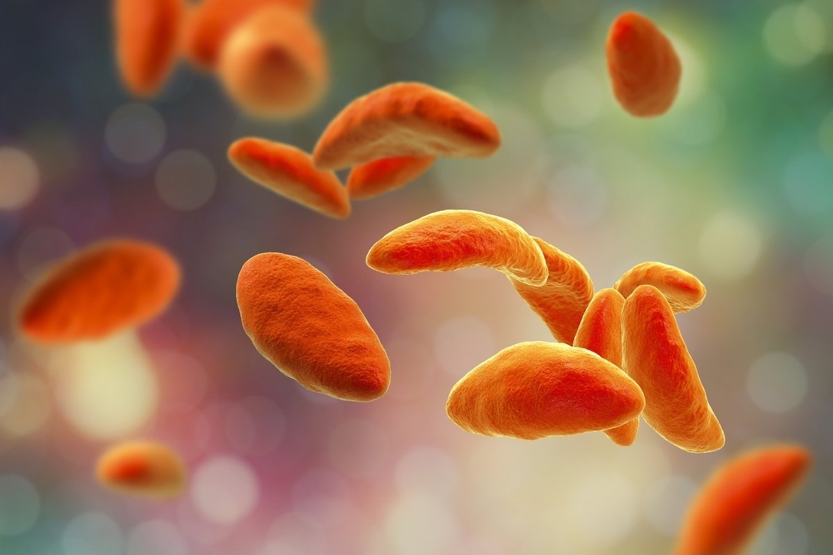 7 penyakit yang disebabkan oleh protozoa: gejala dan pengobatan_0