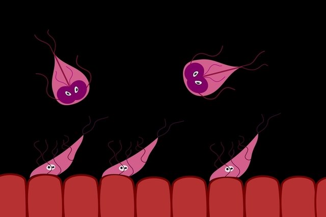 7 penyakit yang disebabkan oleh protozoa: gejala dan pengobatan
